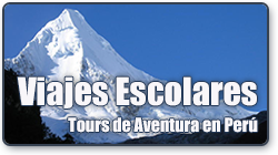 Shool Travel