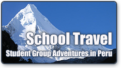 Shool Travel